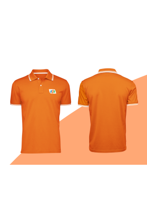 Áo thun đồng phục FPT DM03
