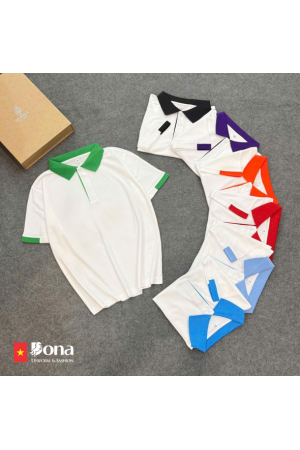 BST Polo phối màu B01