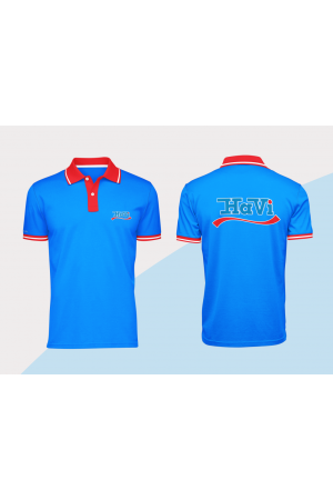 Mẫu áo thun Havi DM04